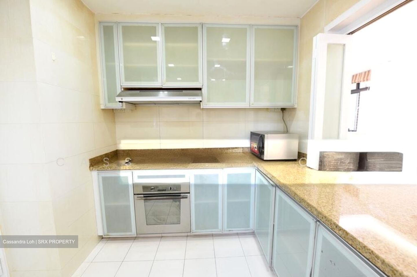 Spring Grove (D10), Condominium #486682601